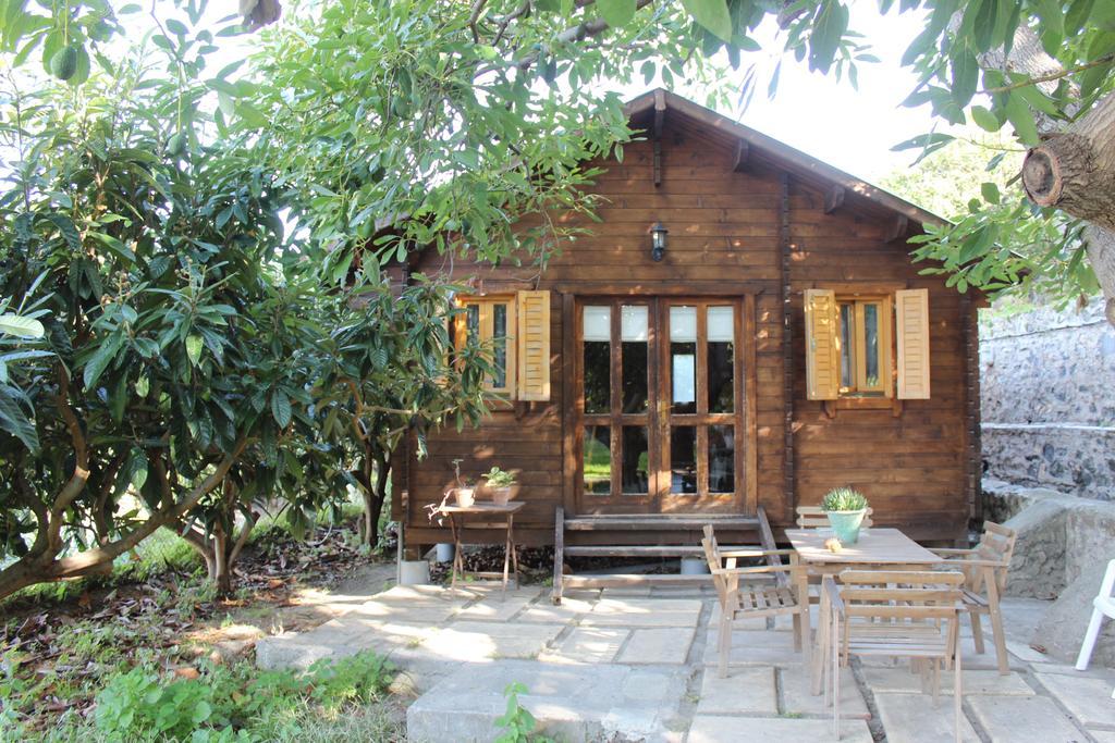 Camping Tropical Almuñécar 部屋 写真