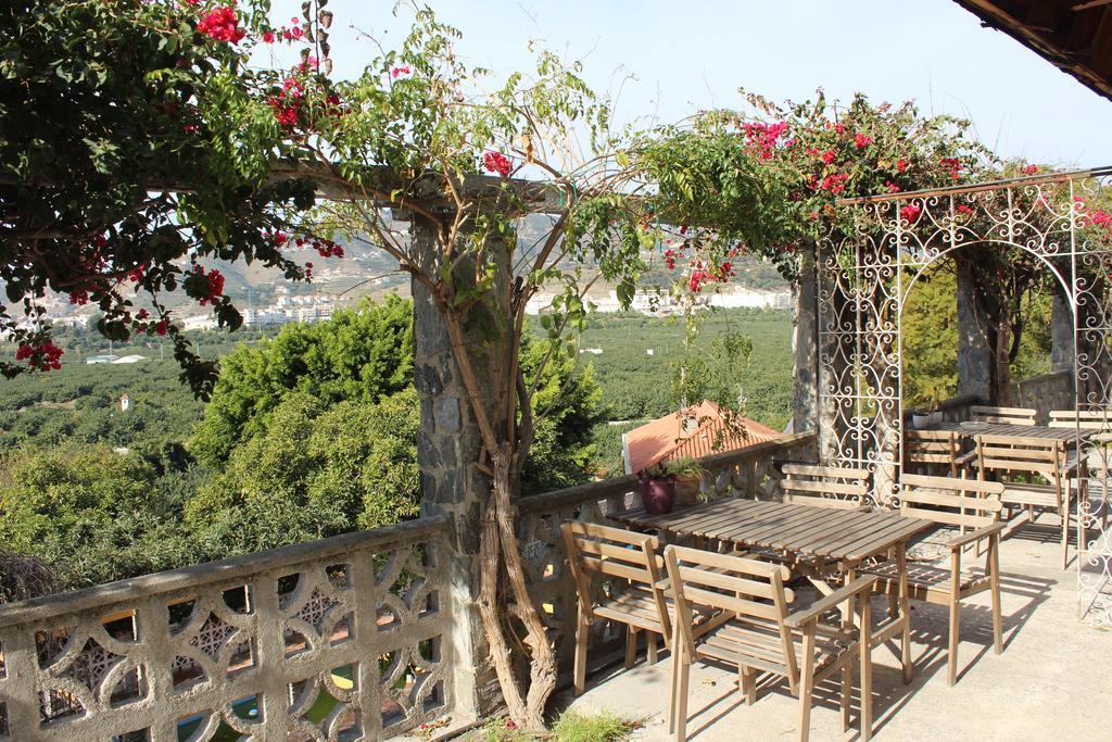 Camping Tropical Almuñécar 部屋 写真